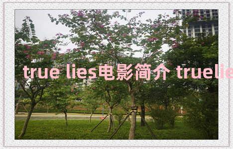 true lies电影简介 truelies电影影评